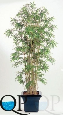 000006256_original