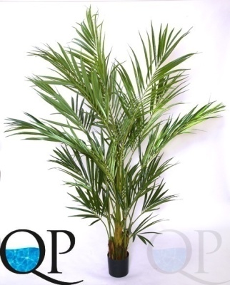 000006363_original