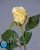 000007501_original
