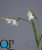 1_b4177295-77d4-11e5-b857-ec106981ec10 1_b4177295-77d4-11e5-b857-ec106981ec10
