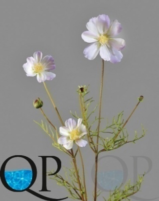 000006523_original