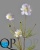 000006523_original 000006523_original