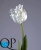 2_cc2dad7f-77d4-11e5-b857-ec106981ec10