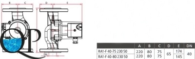 RA1-F2 2