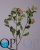 000006741_original 000006741_original
