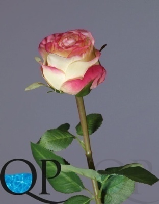 000007518_original