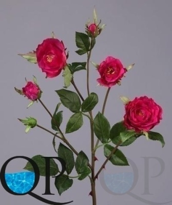 000006731_original