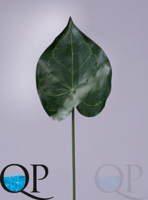 000006807_original