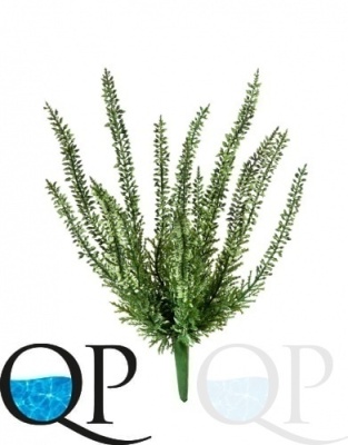 000006690_original