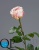 000007511_original
