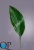 1_ba11c086-77d4-11e5-b857-ec106981ec10 1_ba11c086-77d4-11e5-b857-ec106981ec10