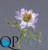 000006543_original 000006543_original