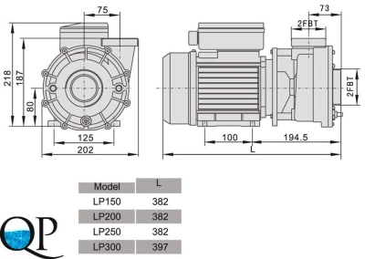 LP 15056-62 2
