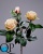 1_1dff834f-7d60-11e5-bf9c-00e05316b922