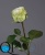 1_5048fb13-4d5f-11e7-a8b5-00e05316b922