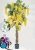 Картинка с сайта Картинка с сайта