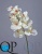 000006583_original