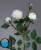 1_1dff833b-7d60-11e5-bf9c-00e05316b922 1_1dff833b-7d60-11e5-bf9c-00e05316b922