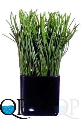 000006685_original