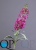 000006538_original 000006538_original