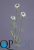 1_d23568cd-77d4-11e5-b857-ec106981ec10 1_d23568cd-77d4-11e5-b857-ec106981ec10