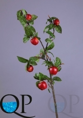 000006728_original