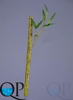000006766_original