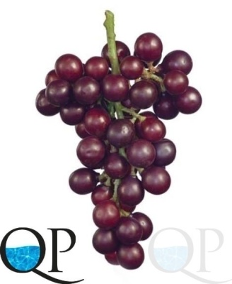 000006842_original