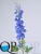 1_30b967a2-4d5f-11e7-a8b5-00e05316b922 1_30b967a2-4d5f-11e7-a8b5-00e05316b922