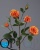 1_1dff8330-7d60-11e5-bf9c-00e05316b922