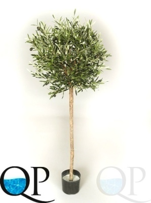 000006343_original