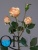 1_1dff833e-7d60-11e5-bf9c-00e05316b922