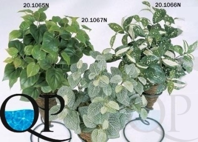 1_c5da4997-5cc9-11e7-a6db-00e05316b922