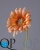 000006497_original
