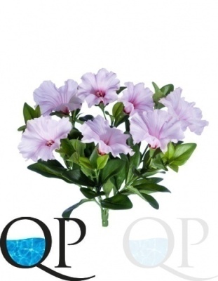 000006708_original