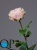 000007505_original 000007505_original