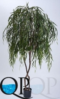 000006297_original