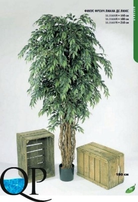 Картинка с сайта