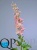 1_30b967a3-4d5f-11e7-a8b5-00e05316b922 1_30b967a3-4d5f-11e7-a8b5-00e05316b922