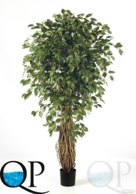 000006463_original