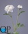 2_d23568a4-77d4-11e5-b857-ec106981ec10 2_d23568a4-77d4-11e5-b857-ec106981ec10